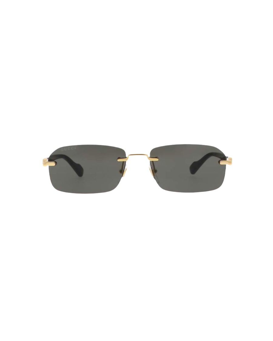 GG 1221S