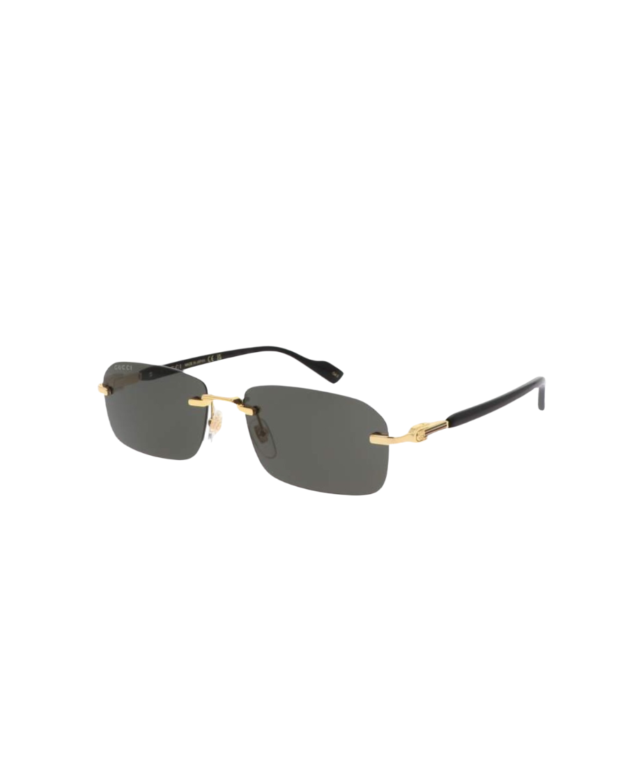 GG 1221S