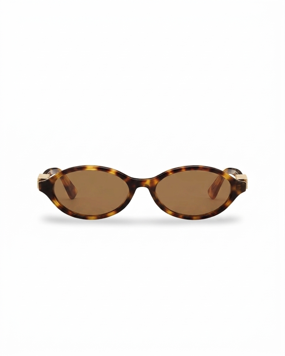DIORTREASURE R1i