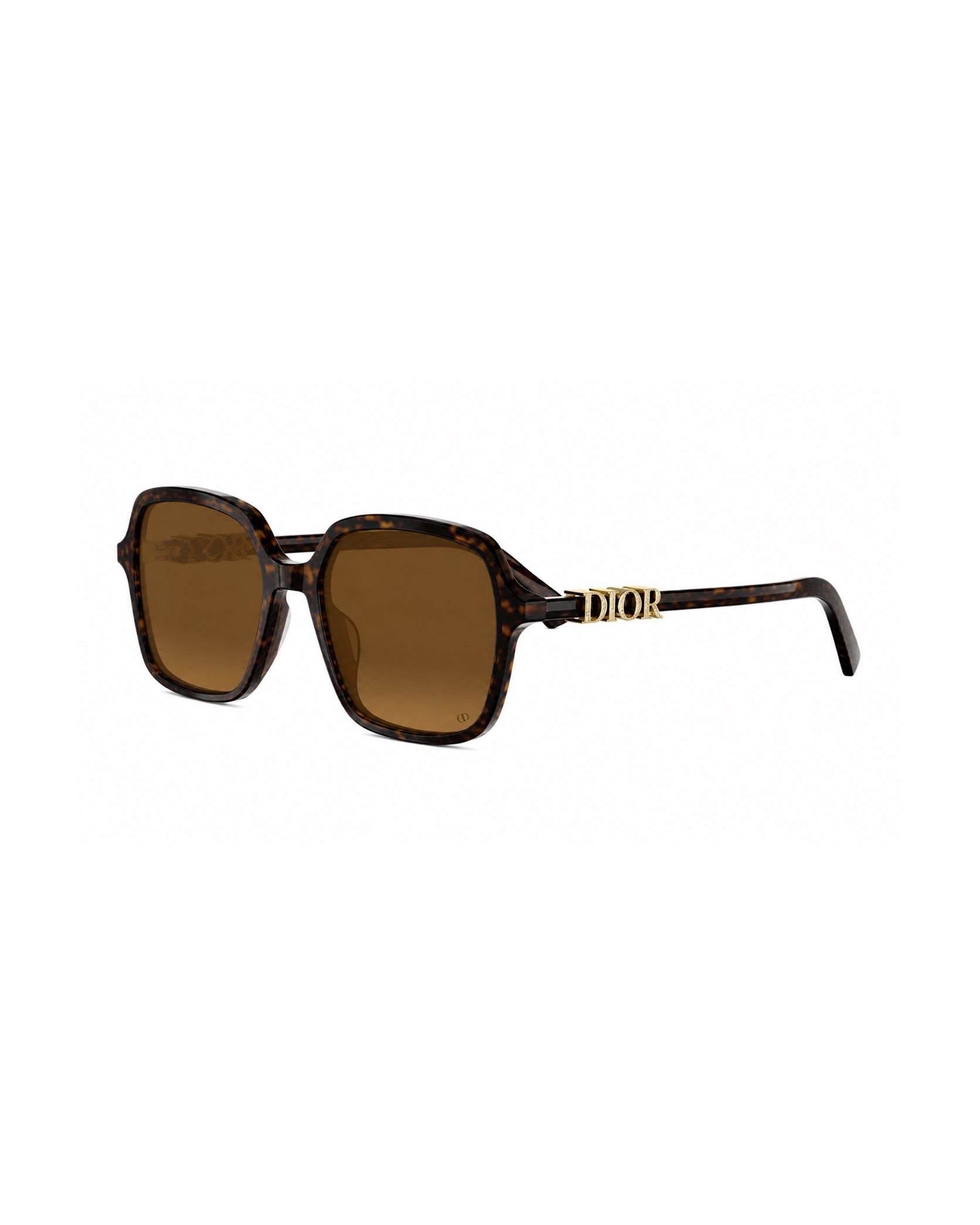 DIORTREASURE S1i