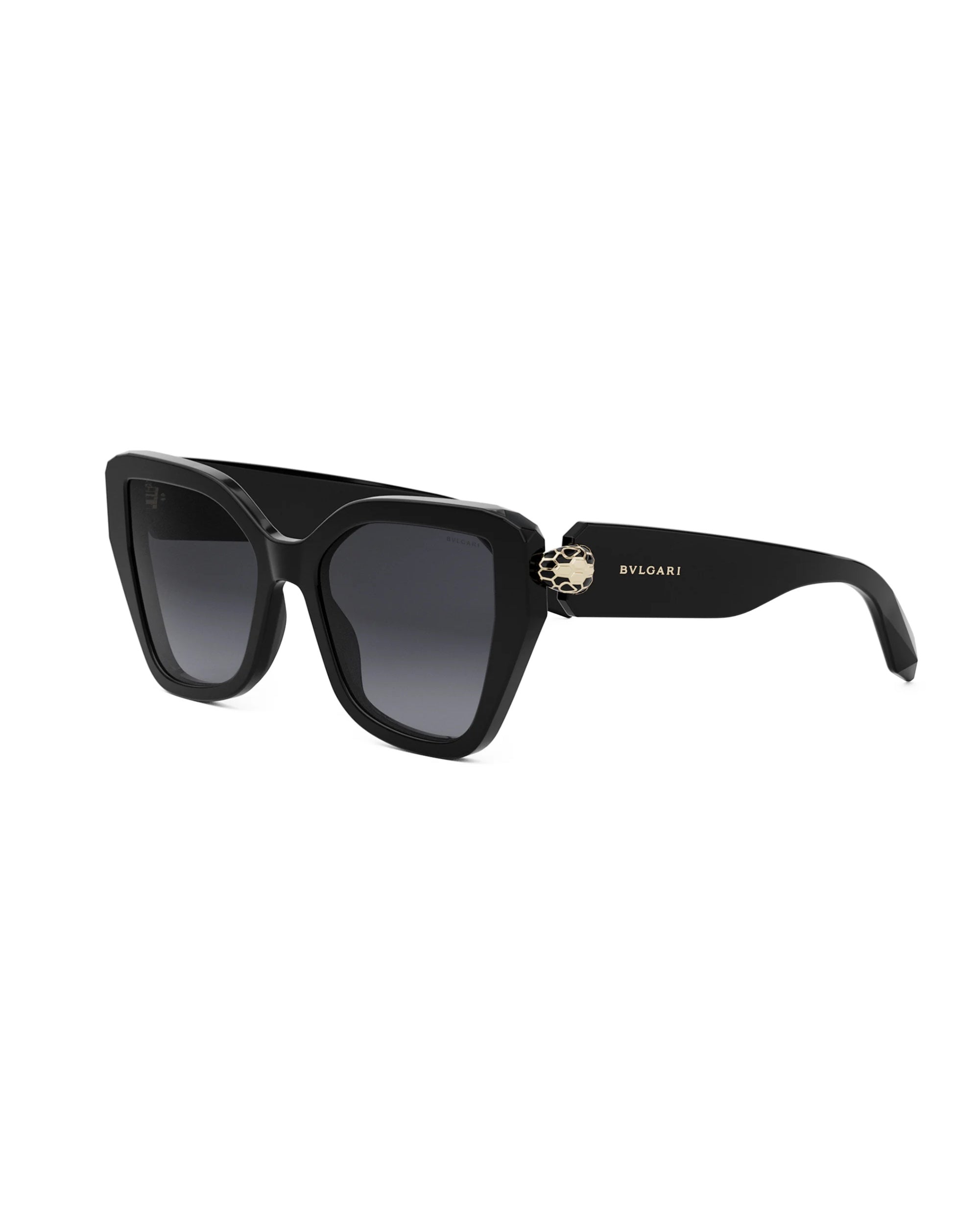 BV40033I SERPENTI