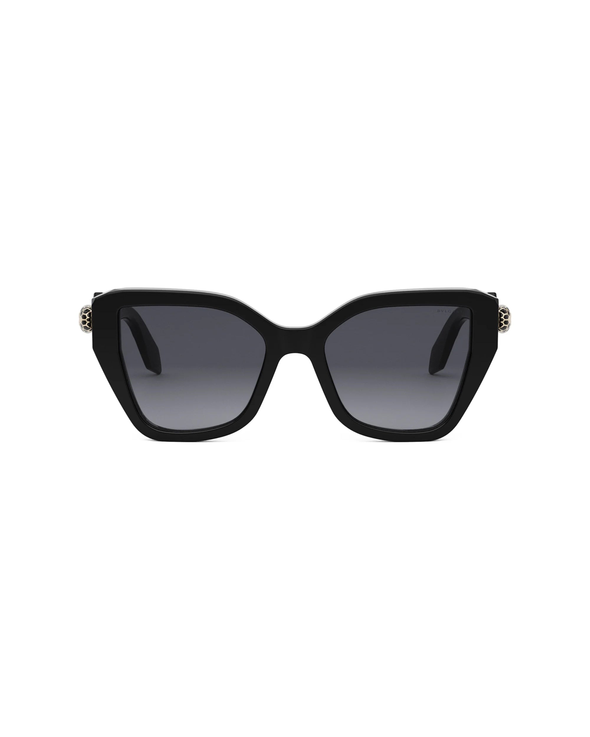 BV40033I SERPENTI